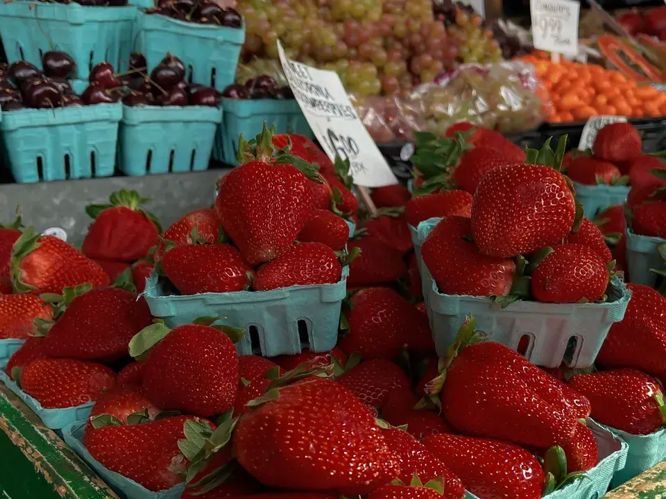 Local Attractions We Love in Cannon Beach in Cannon Beach